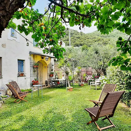 Hostdomus - Casa Olivia *